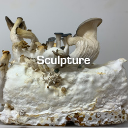 Sculpture