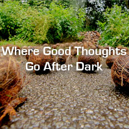 Where Good Thoughts Go After Dark